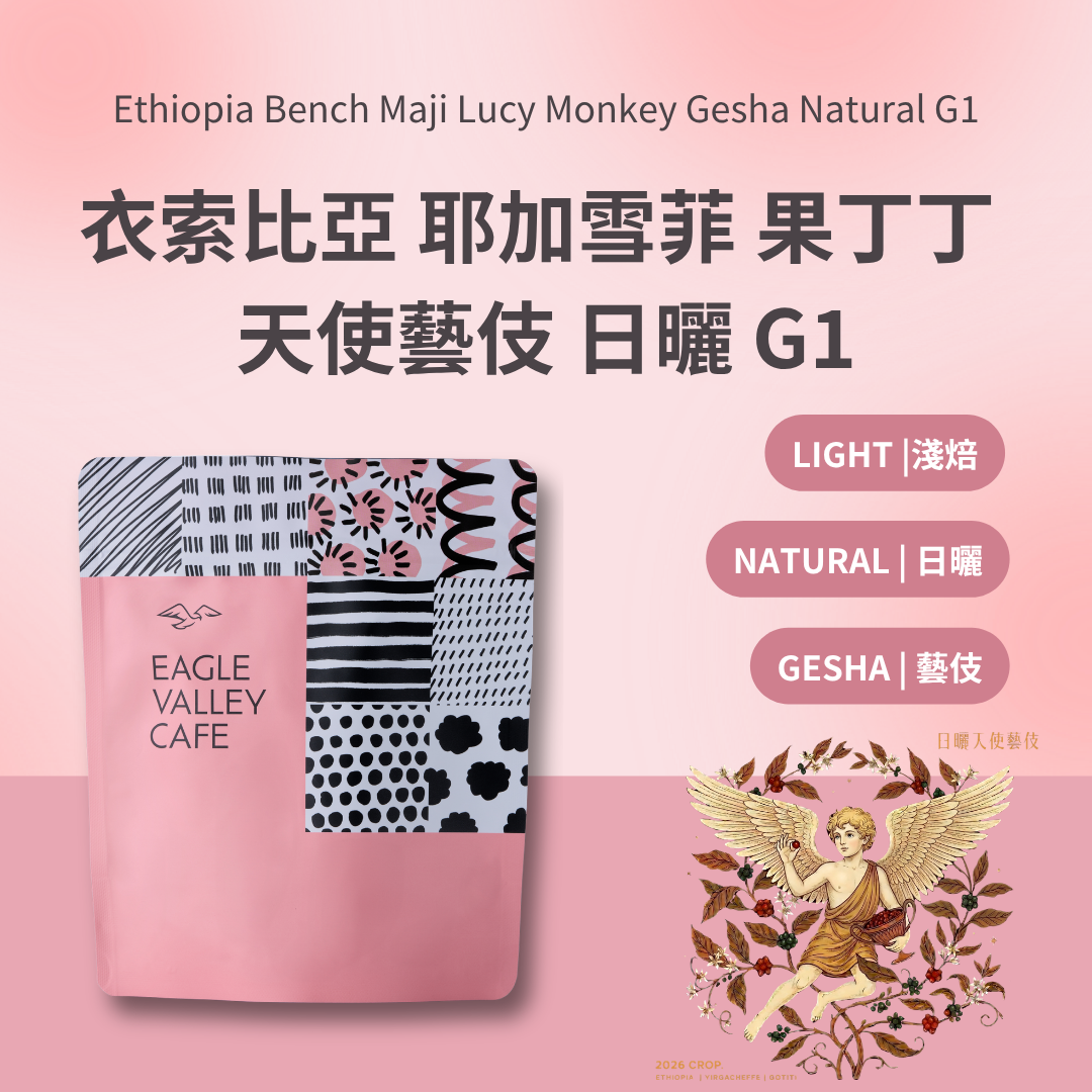 衣索比亞 耶加雪菲 果丁丁 天使藝伎 日曬 G1 淺焙 咖啡豆