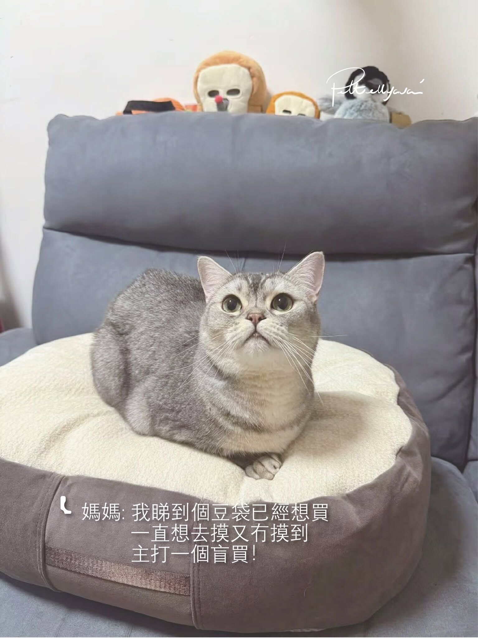 Pettellyava Comfe 豆袋