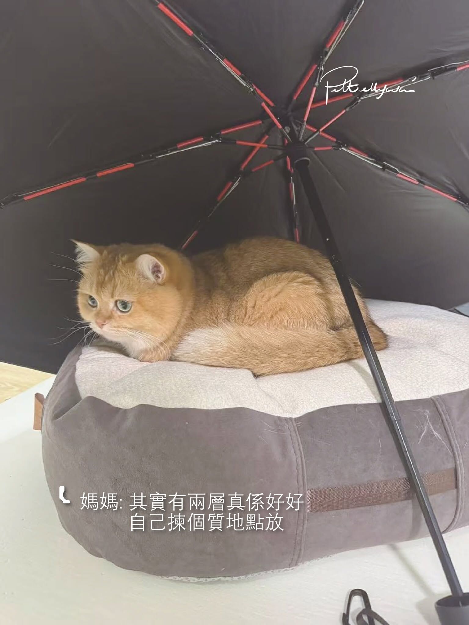 Pettellyava Comfe 豆袋