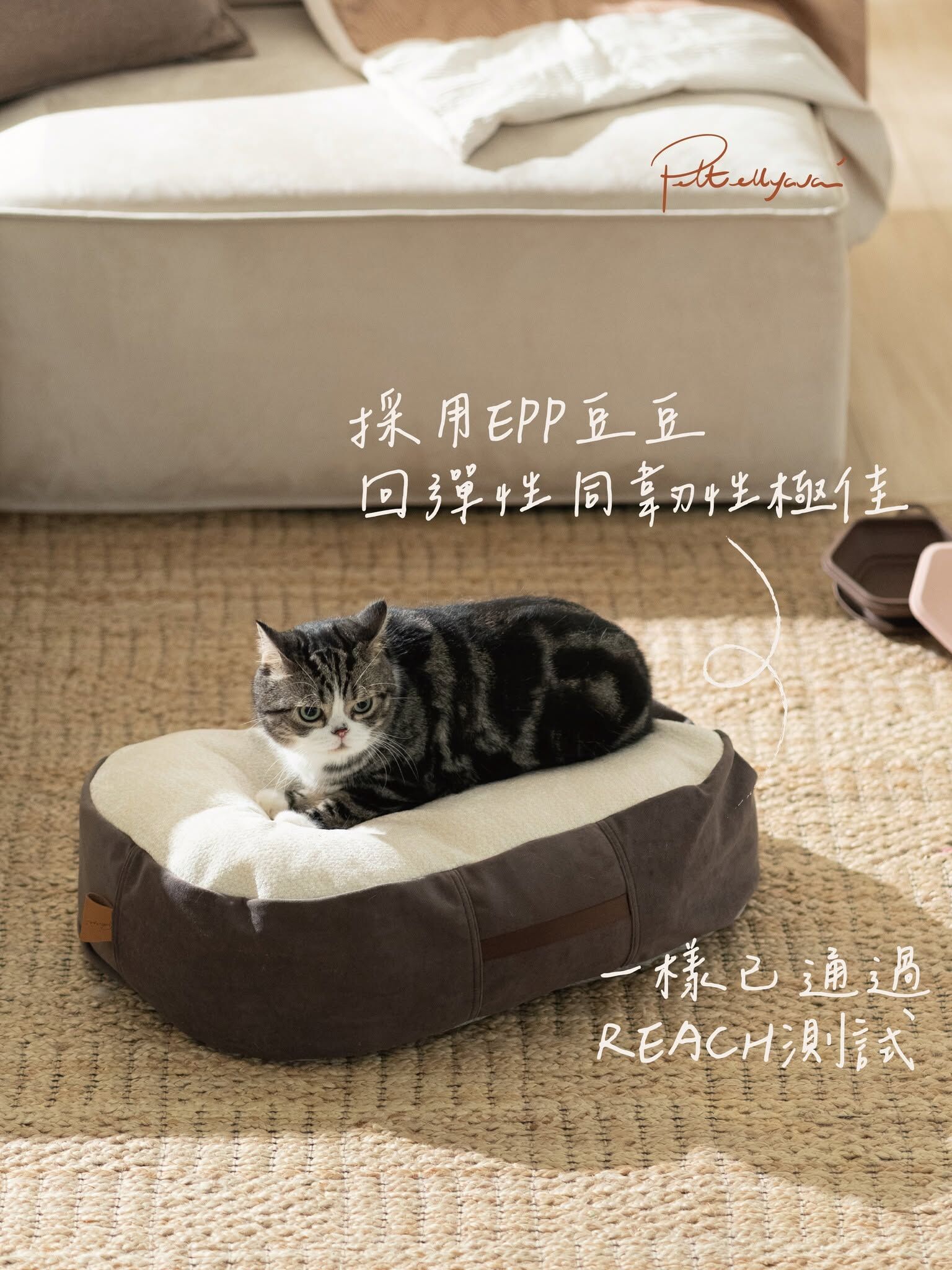 Pettellyava Comfe 豆袋