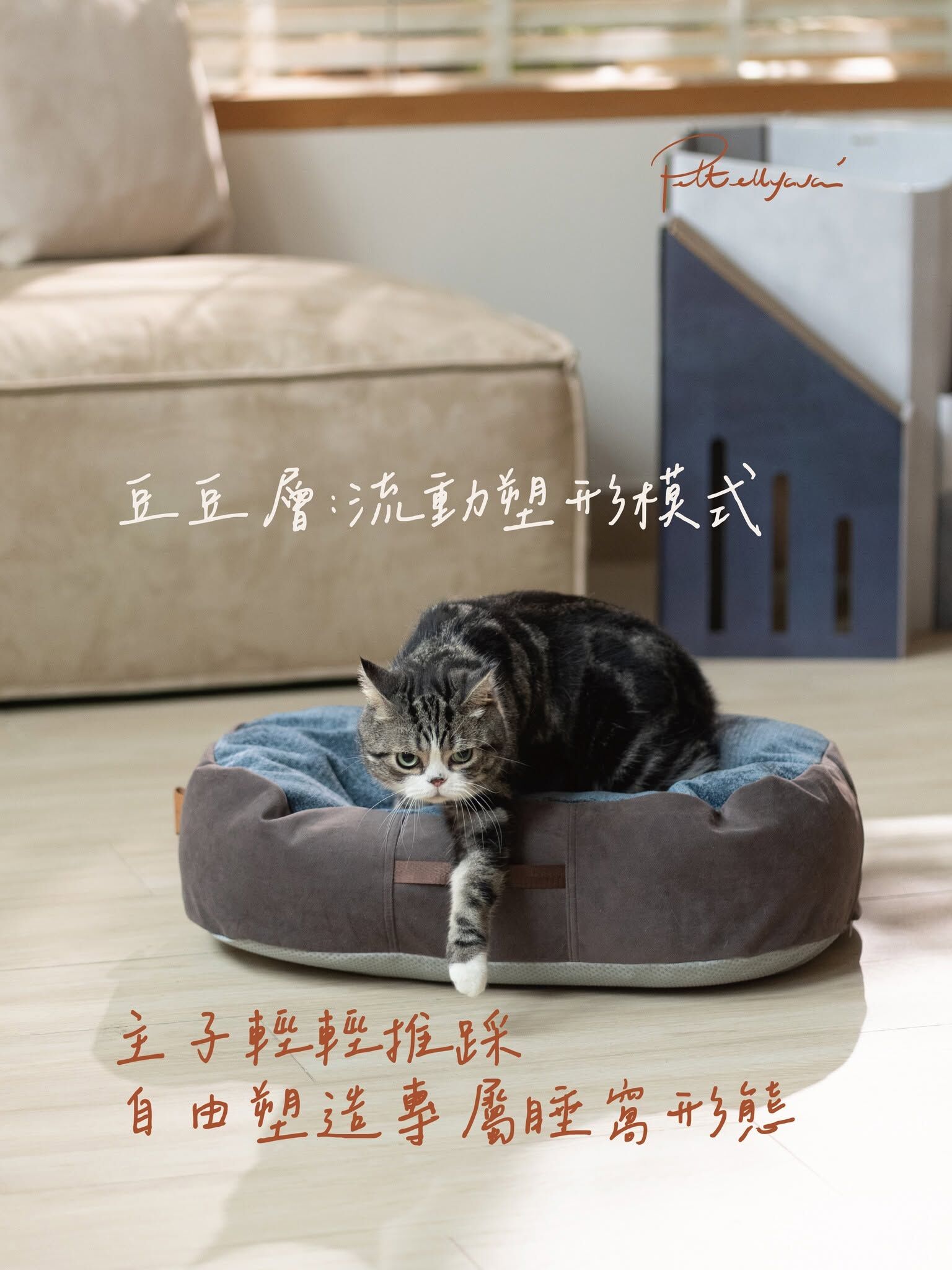 Pettellyava Comfe 豆袋
