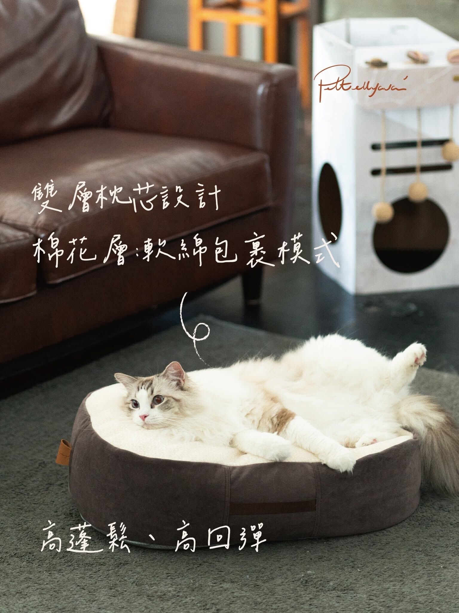 Pettellyava Comfe 豆袋