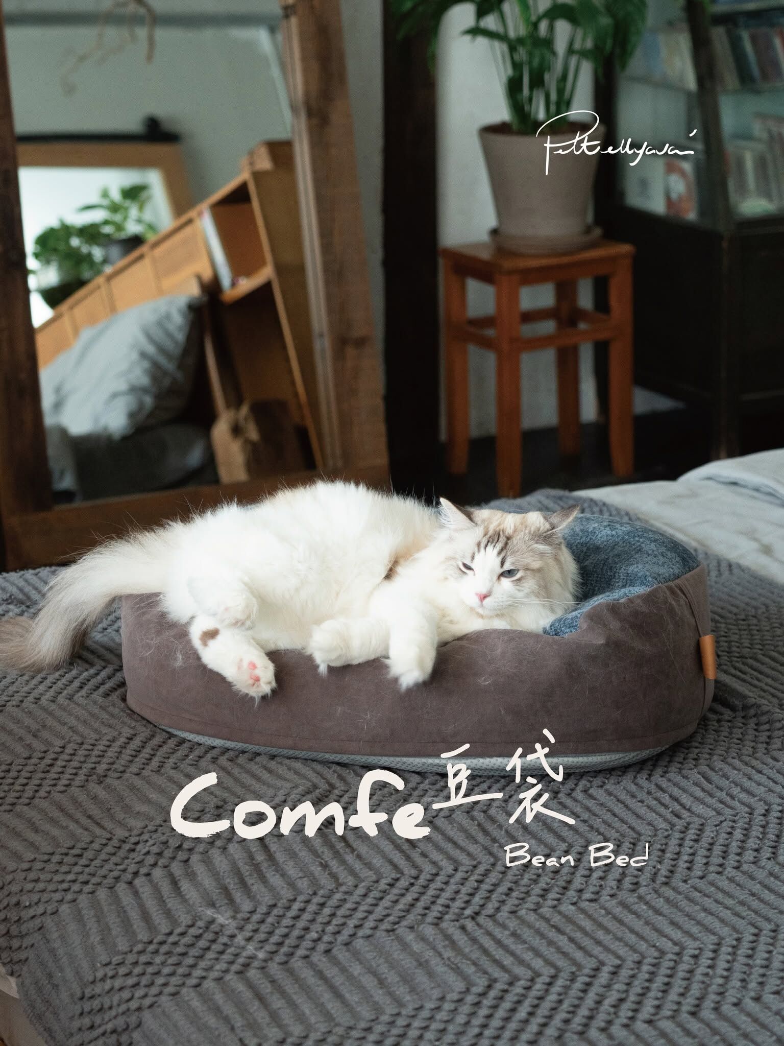 Pettellyava Comfe 豆袋