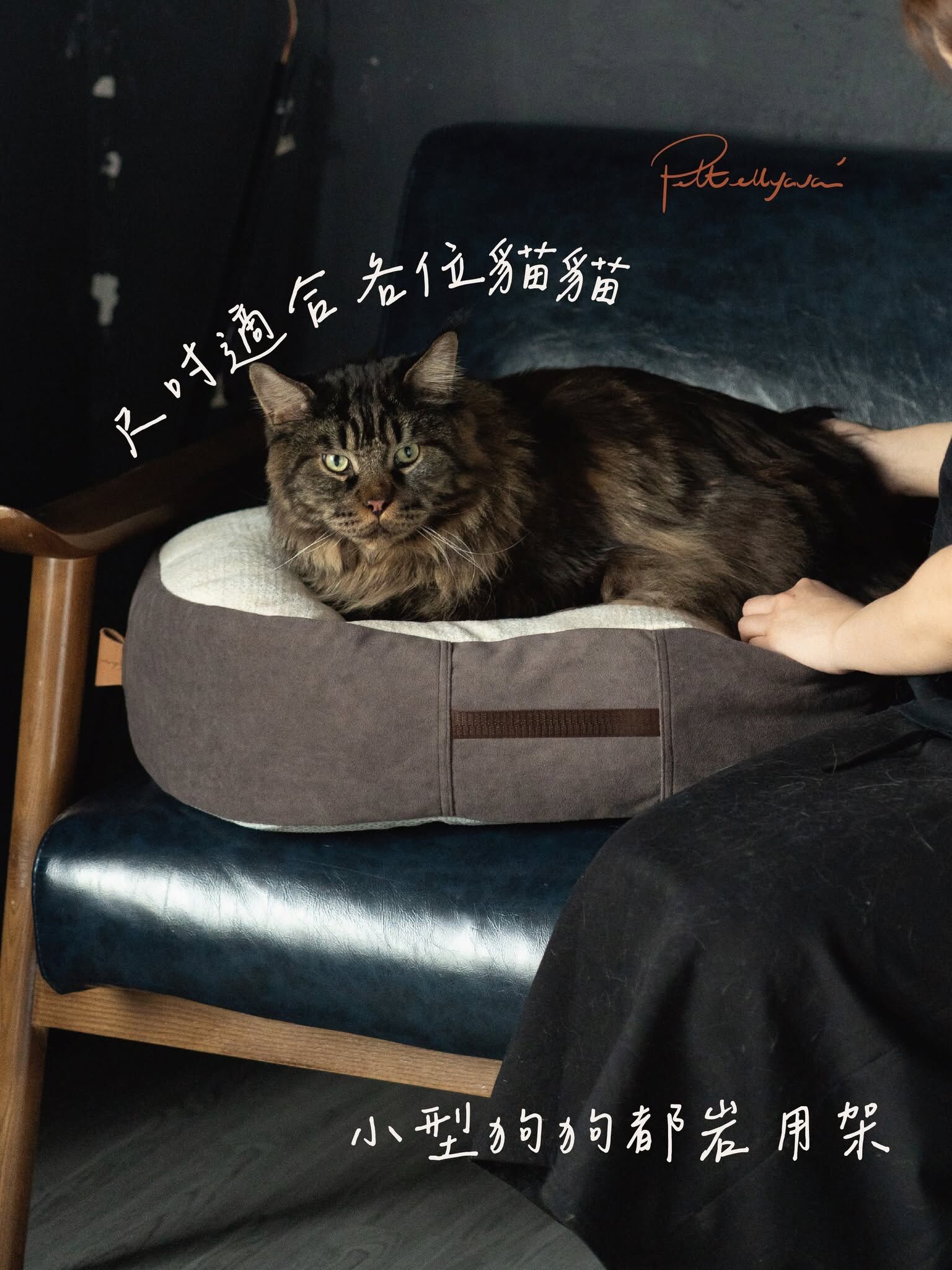 Pettellyava Comfe 豆袋
