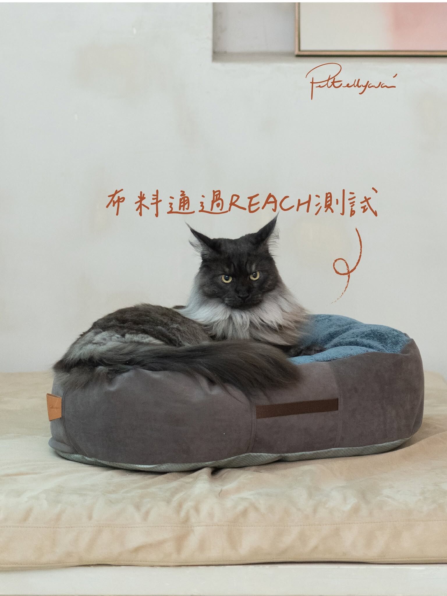 Pettellyava Comfe 豆袋