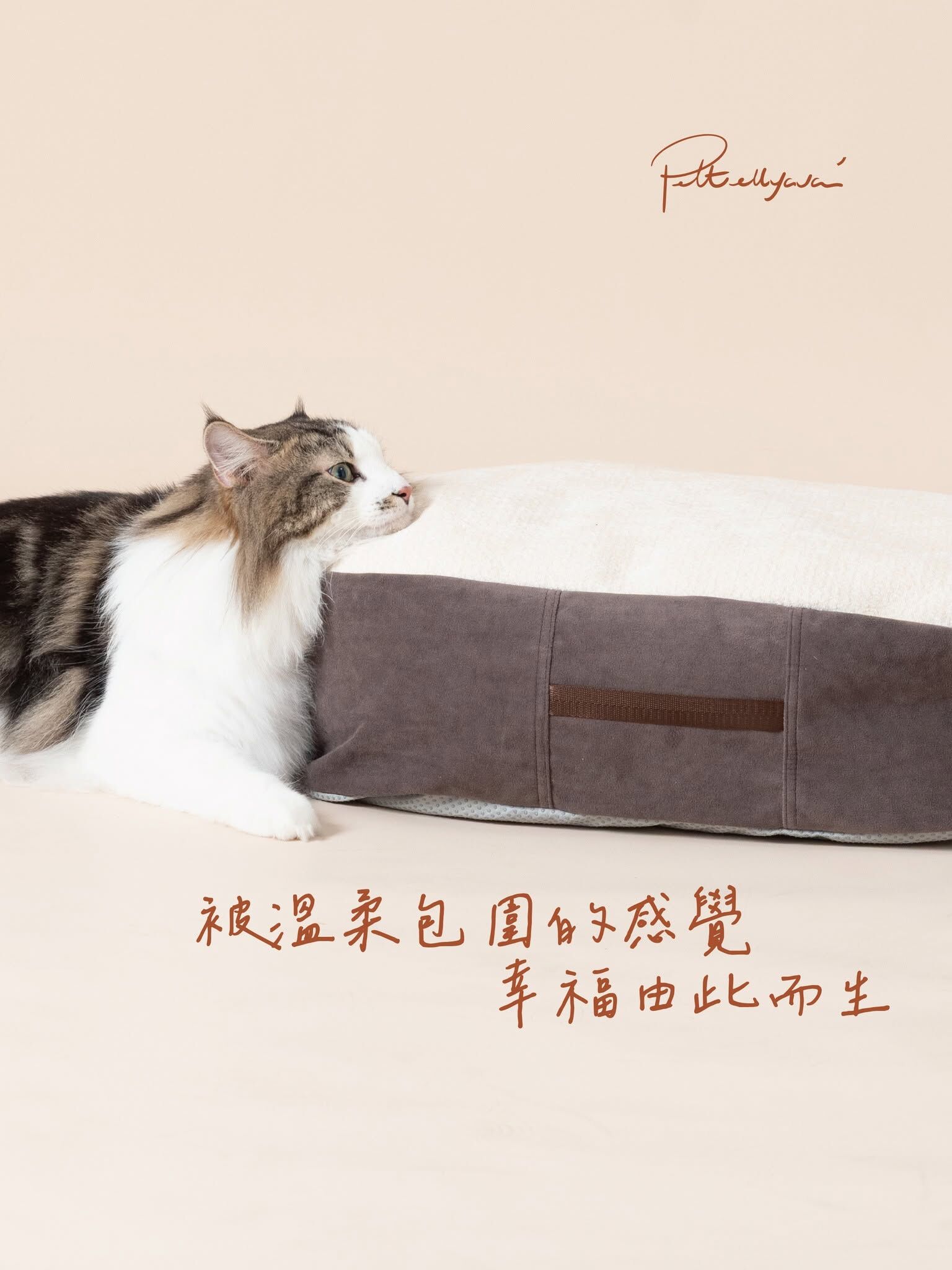 Pettellyava Comfe 豆袋