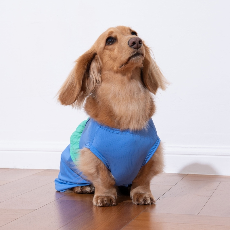 puppygallery｜ 愛心荷葉涼感包屁衣 蘇打藍