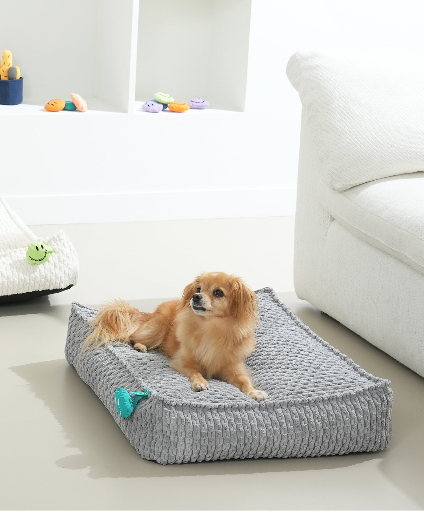 puppygallery｜馬卡龍長方床 寵物床 人寵親子床