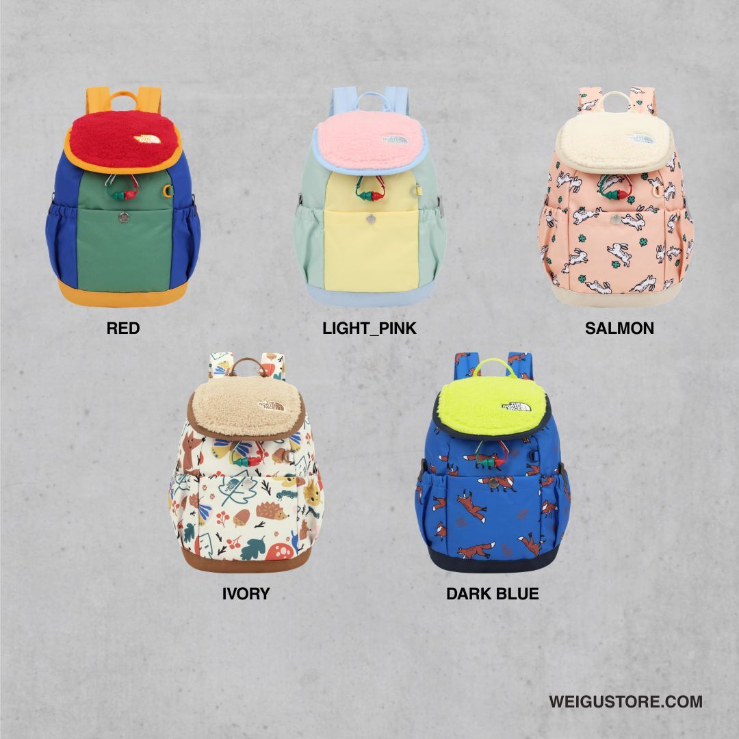 【預購】The North Face K'S EXPLORER BACKPACK 翻蓋後背包 8公升 大童款 NM2DS55