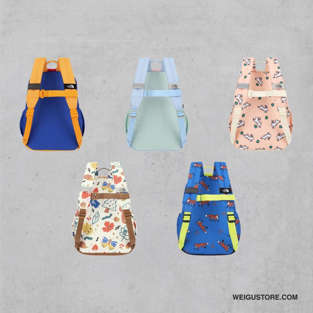 【預購】The North Face K'S EXPLORER BACKPACK 翻蓋後背包 8公升 大童款 NM2DS55