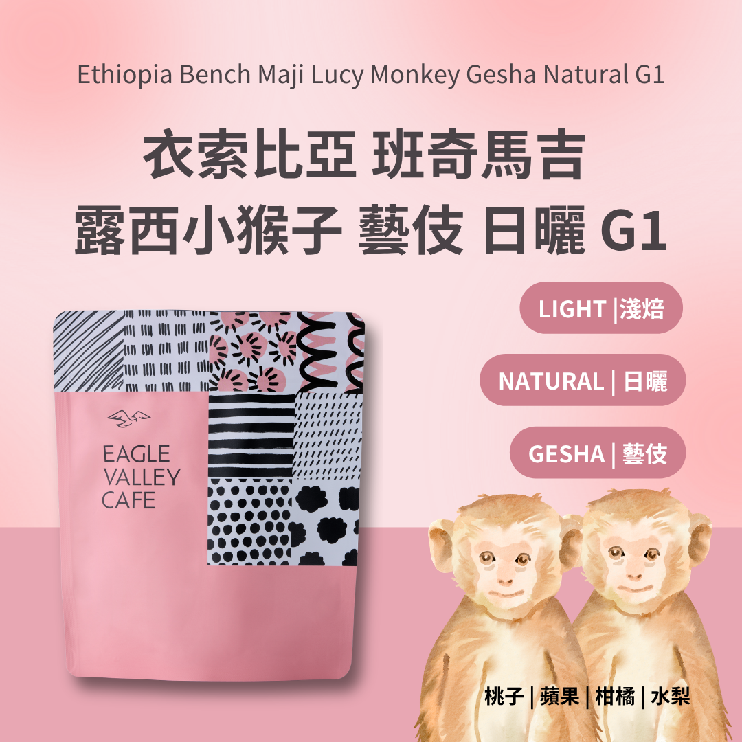 衣索比亞 班奇馬吉 露西 小猴子 藝伎 日曬 淺焙 咖啡豆