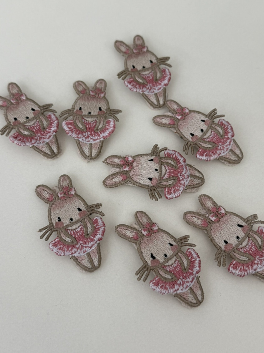 The Daily Life of a Ballerina Bunny