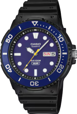 CASIO