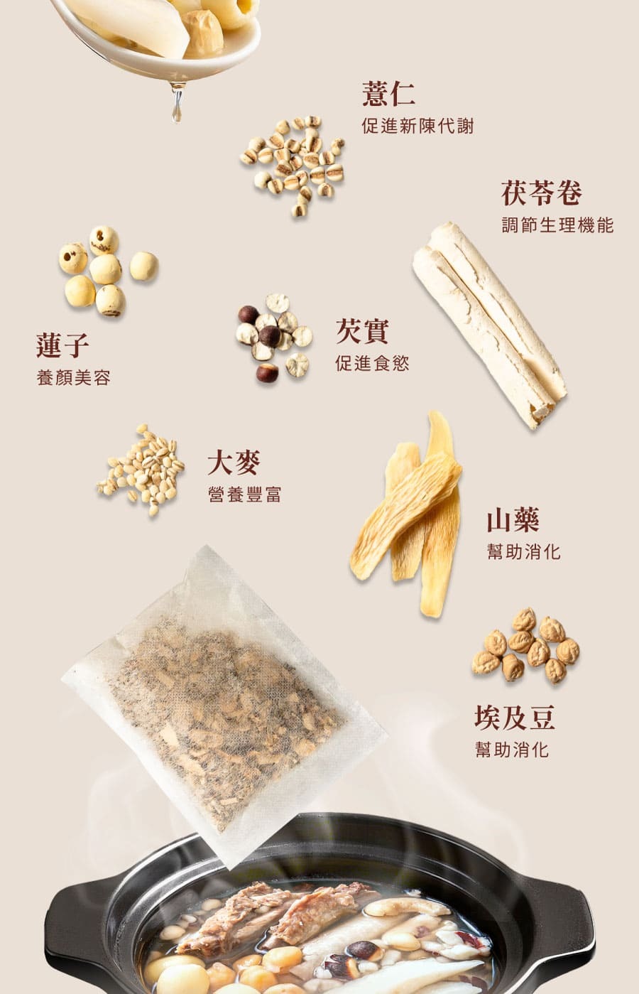 登義傳藝四神湯藥膳燉包原料實拍