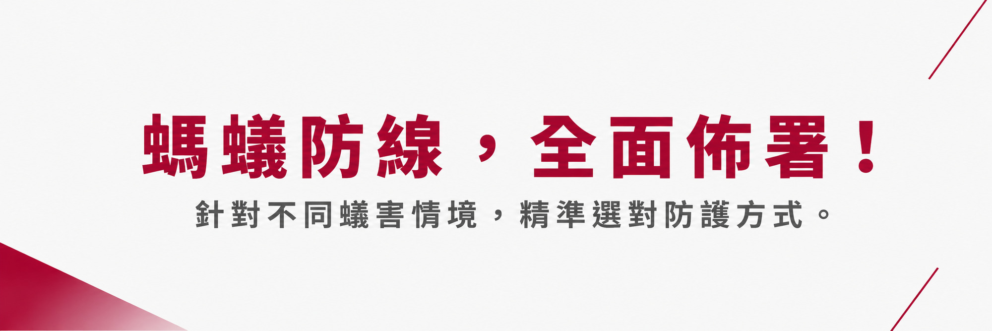 福來朗螞蟻對策專區