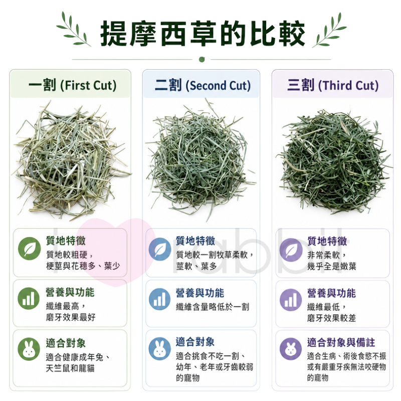 Wooly Timothy MS - 400g