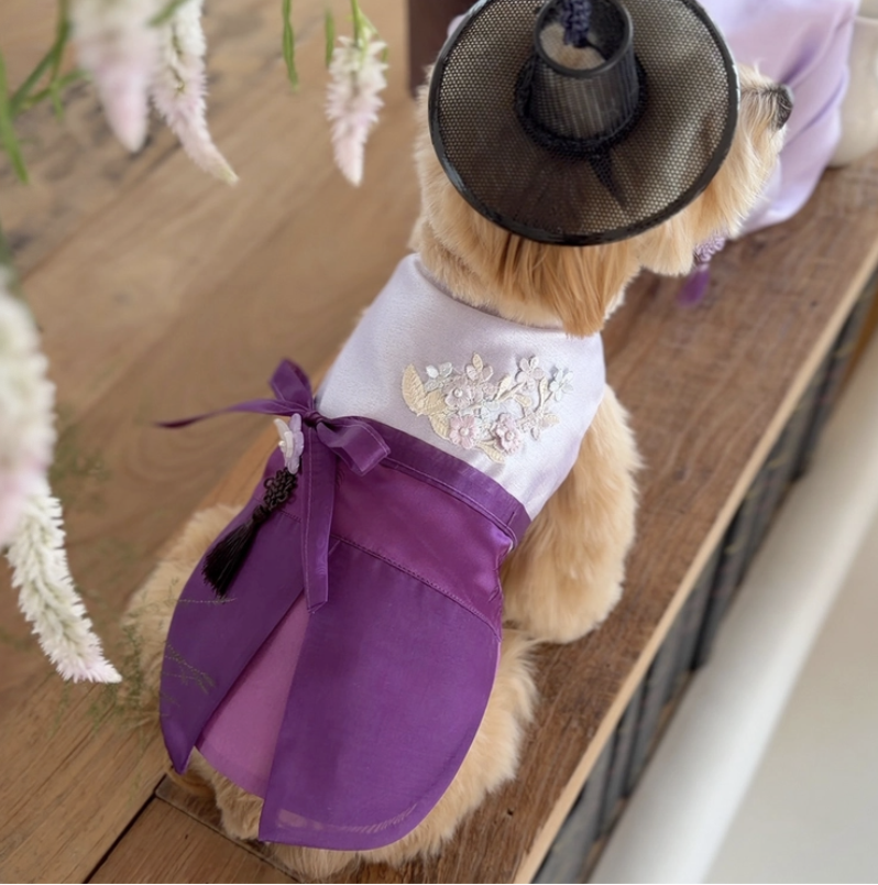 TODLEY Viola hanbok Jacket