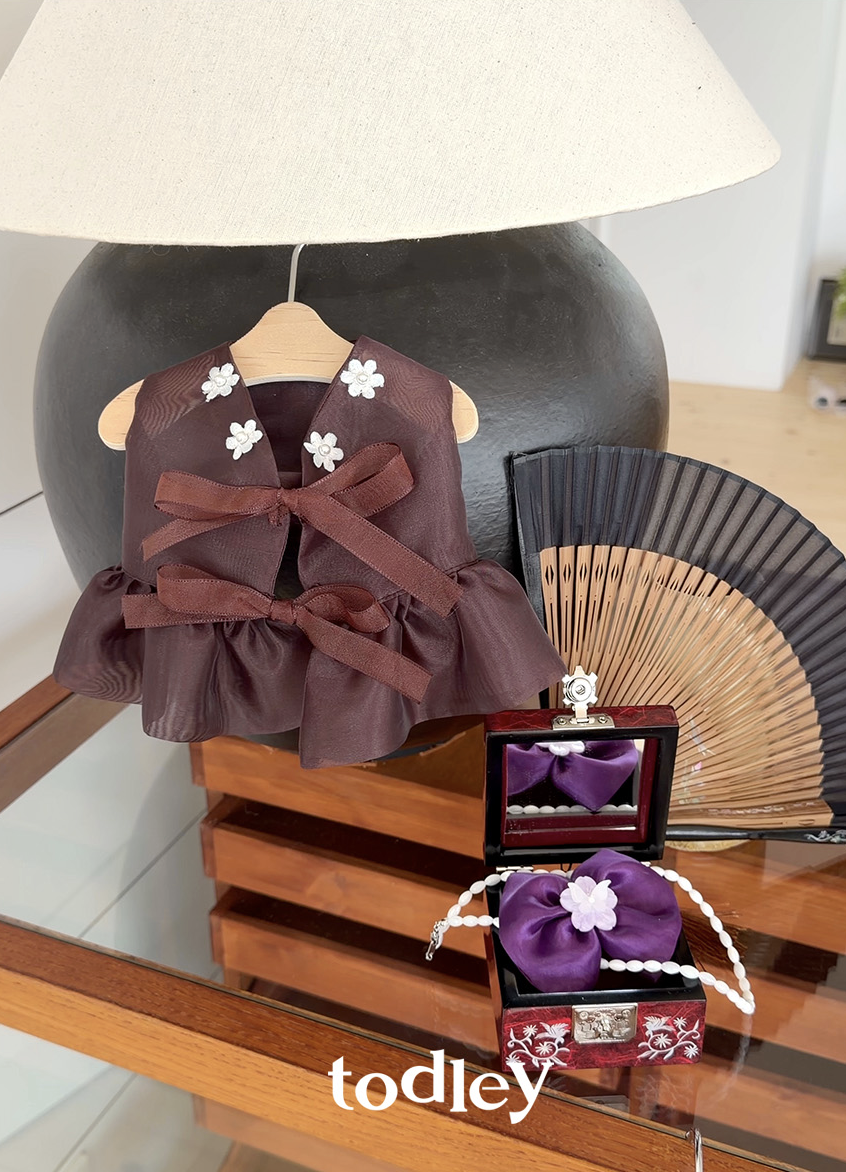 Viola Hanbok Bustier