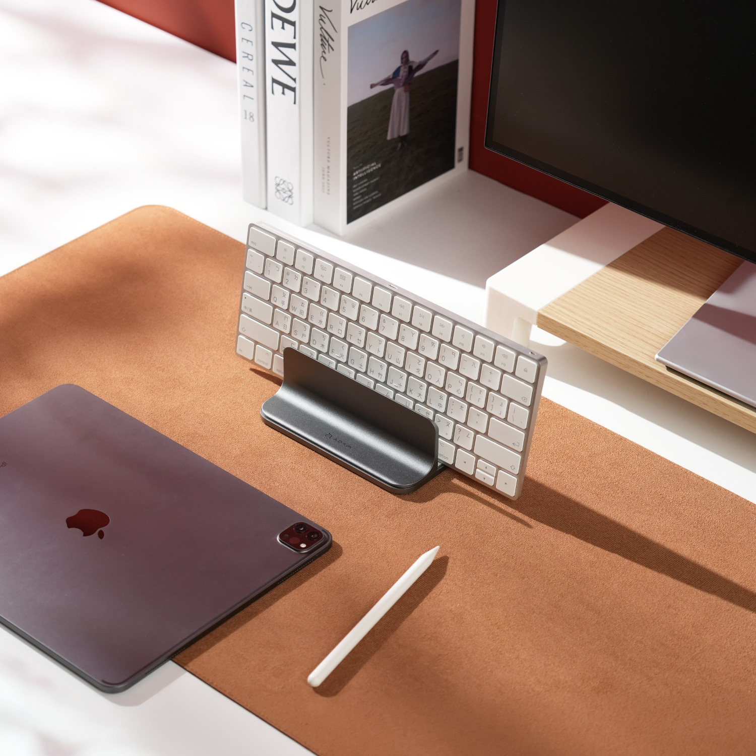 STAND DS1 Vertical Docking Stand + Hub SE10 USB-C 10-in-1 Multi-Function Hub