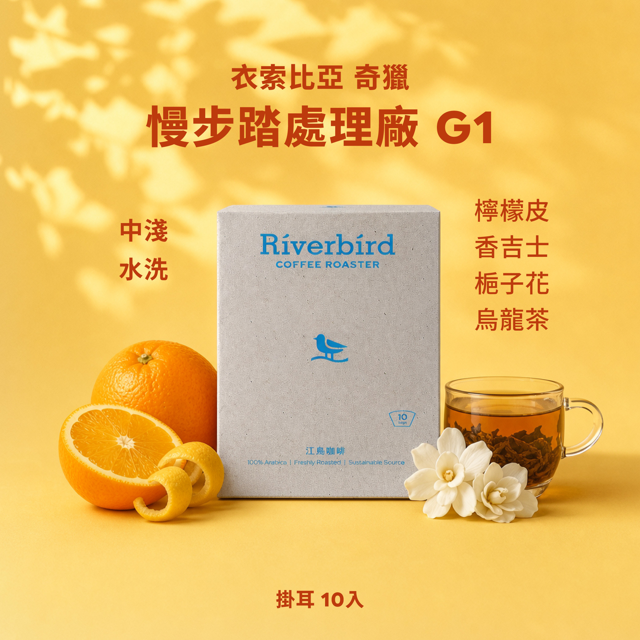 【一期一會】《10入掛耳》衣索比亞 奇獵 慢步踏處理廠G1 中淺/水洗