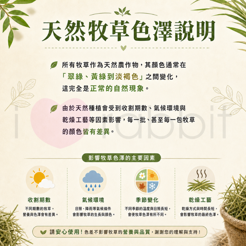 Wooly 高原早割上癮燕麥草 - 400g