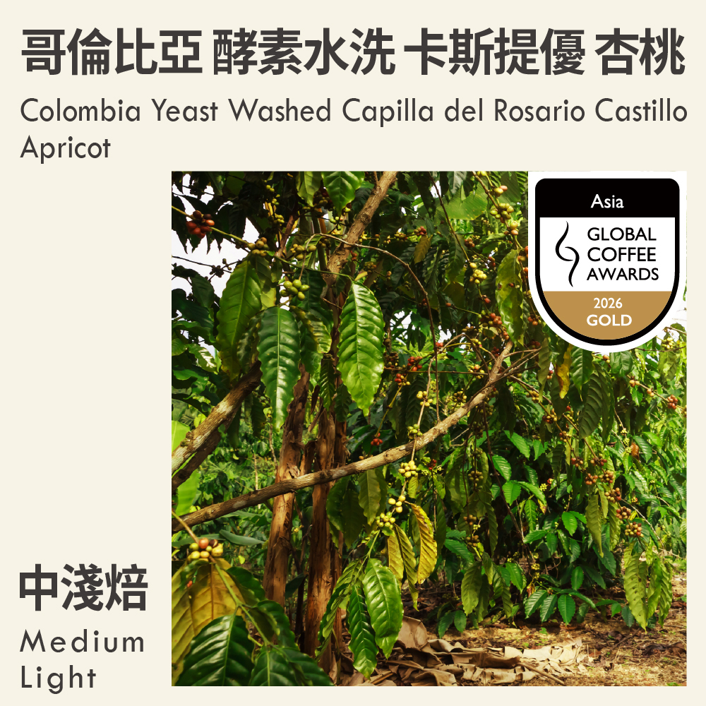 [2026 GCA Gold Award] Colombia Yeast Washed Capilla del Rosario Castillo Apricot