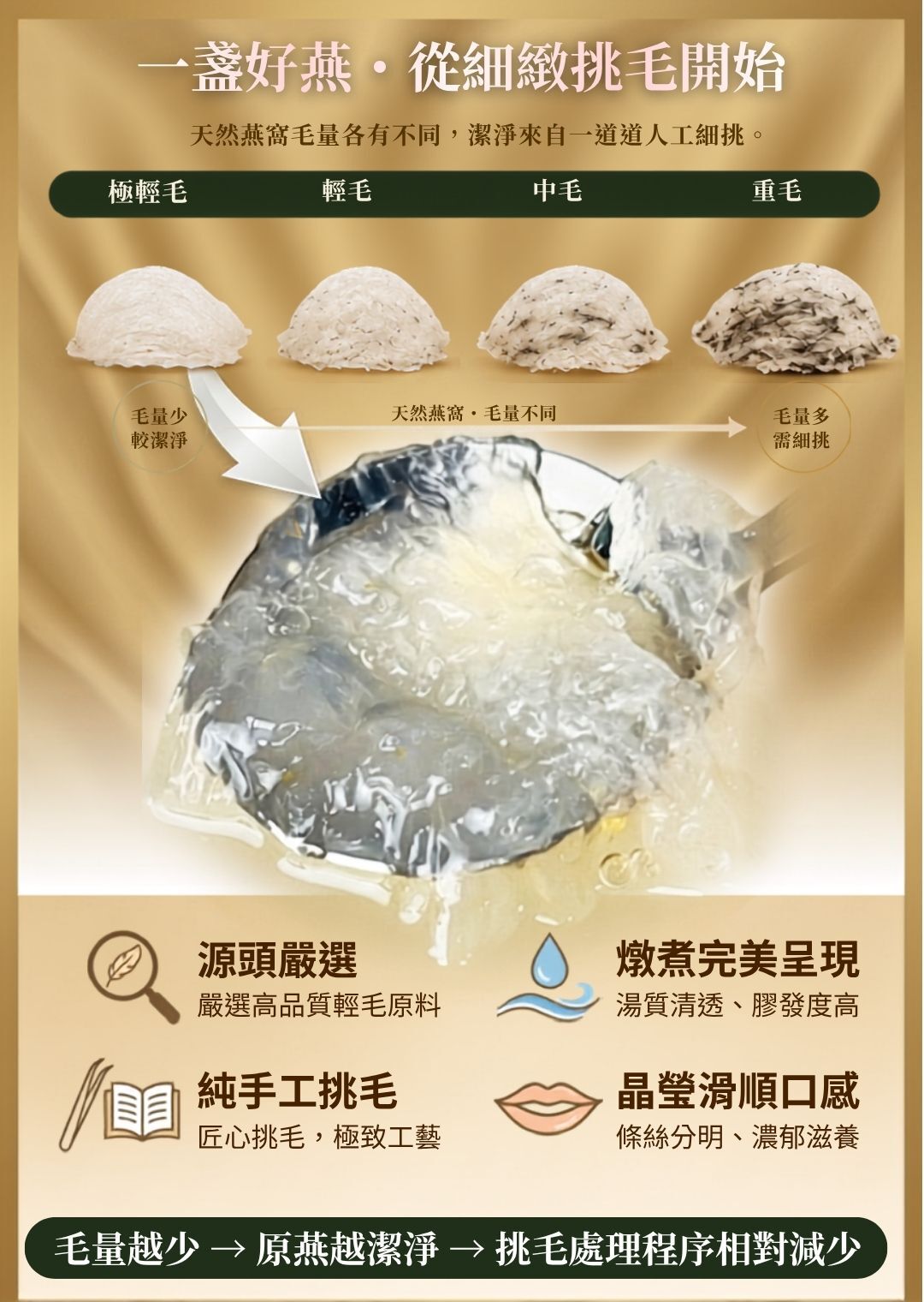 人道友善採收燕窩理念，堅持待幼燕離巢後摘採