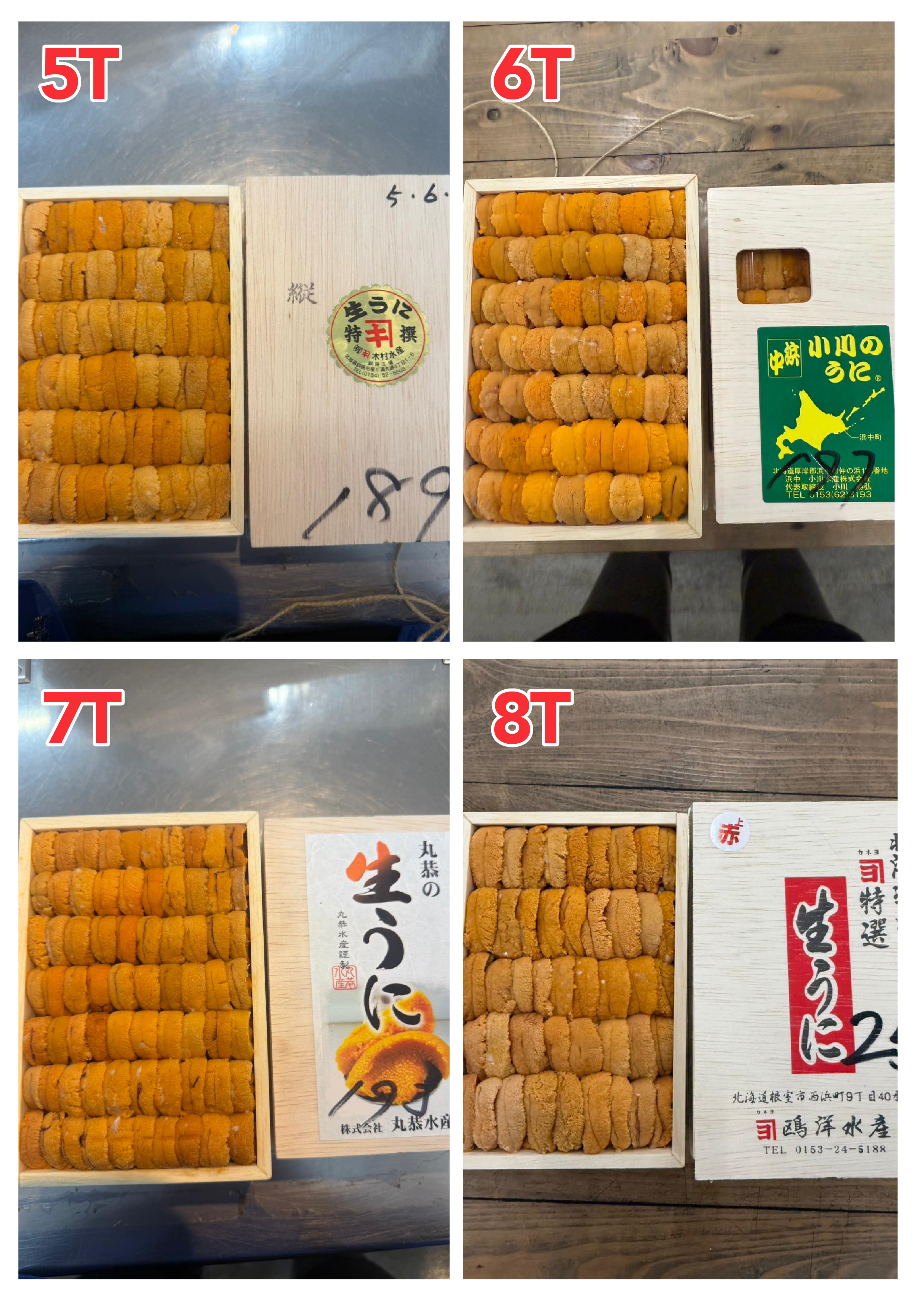 【指定海膽推薦】每天更新 (限即日落單, 翌日送)