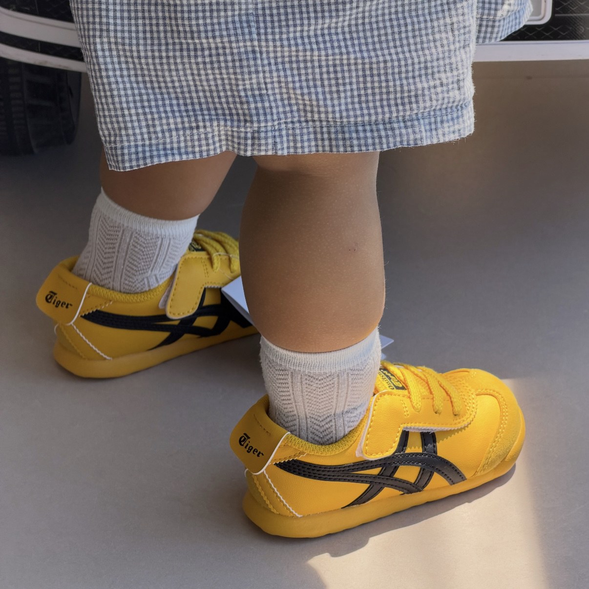 (預購）日本Onitsuka Tiger MEXICO 66 KIDS 鬼塚虎 小童款 童鞋 鞋子