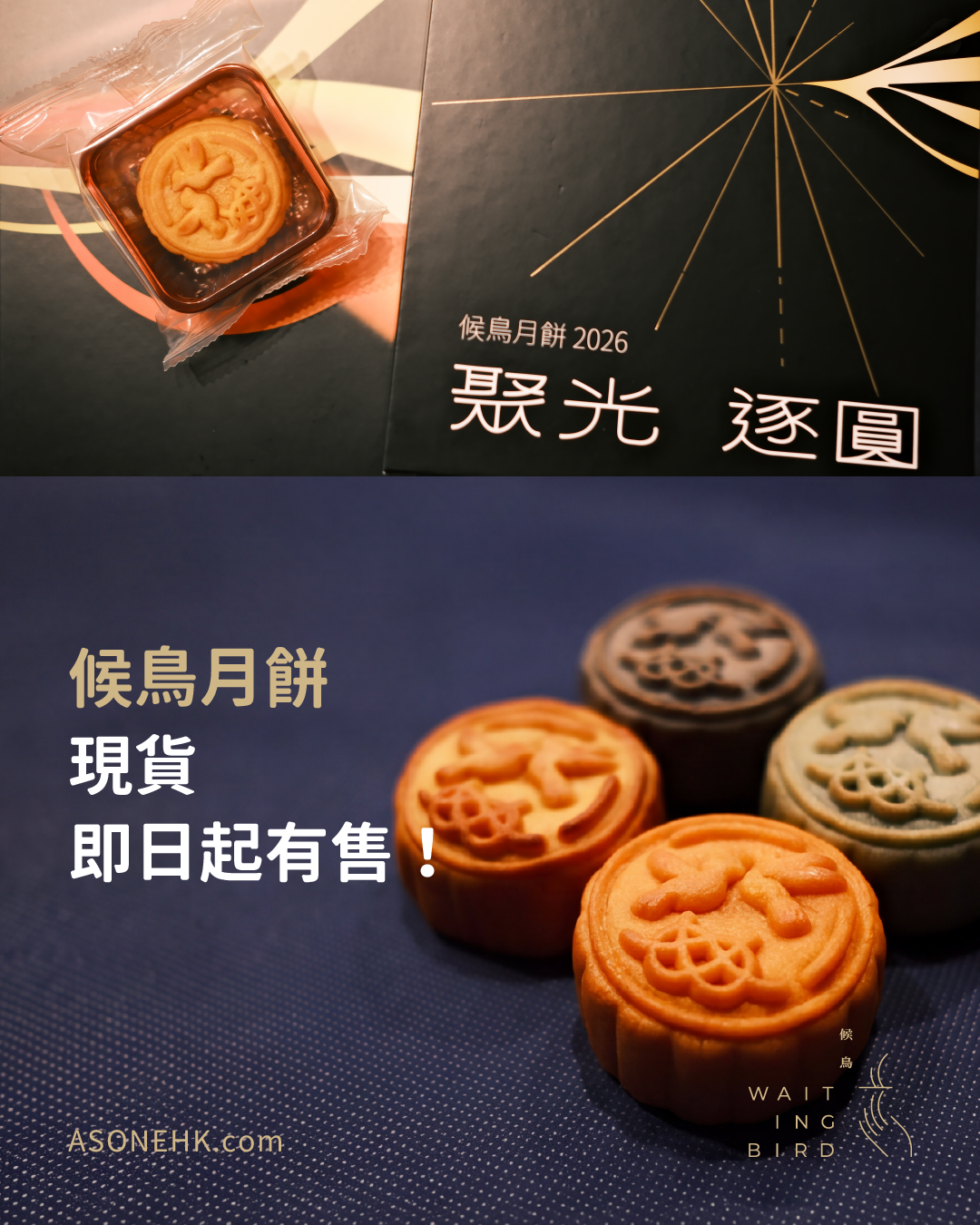 【現貨】候鳥月餅 2026｜聚光．逐圓💫
