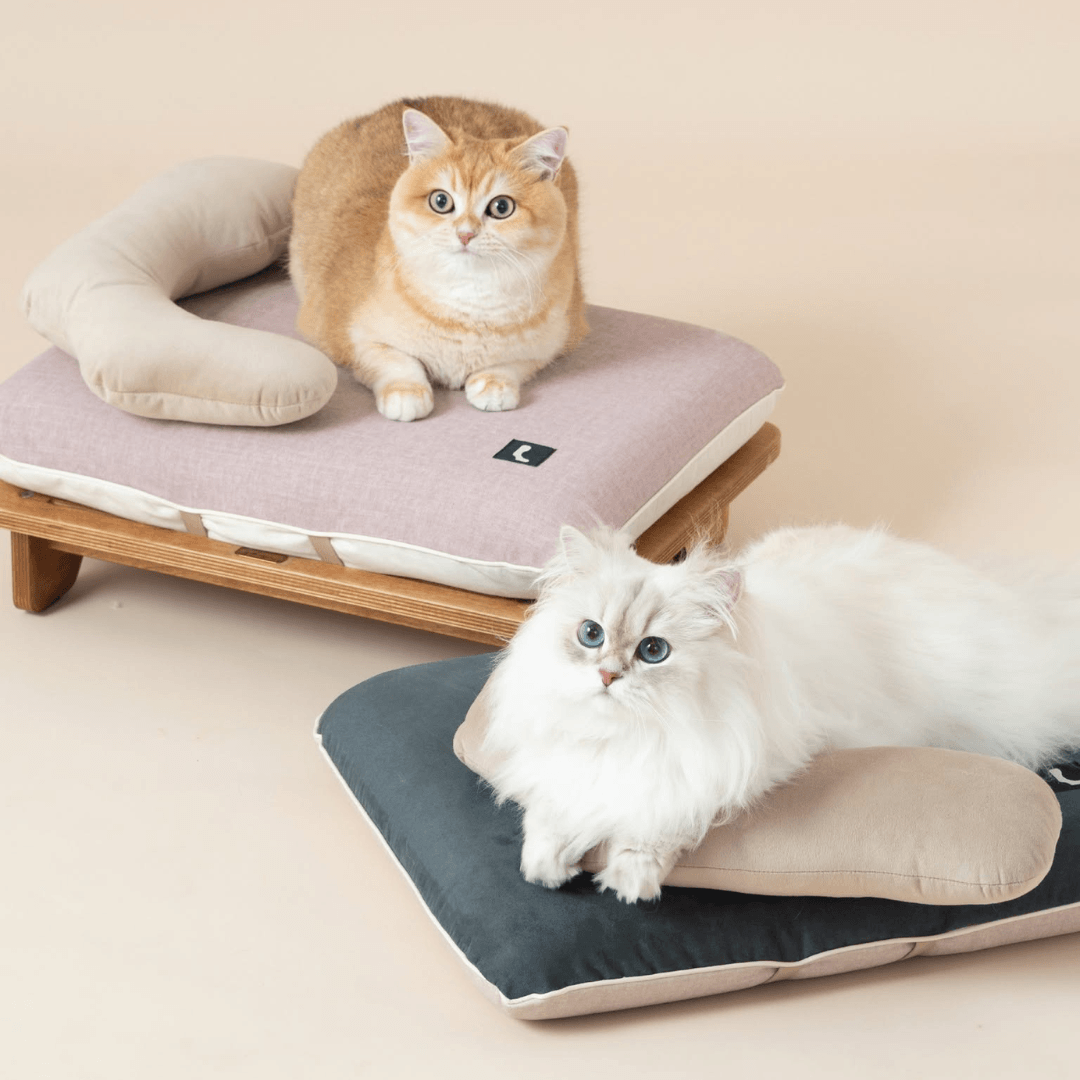 Pettellyava' Surro Pet Bed