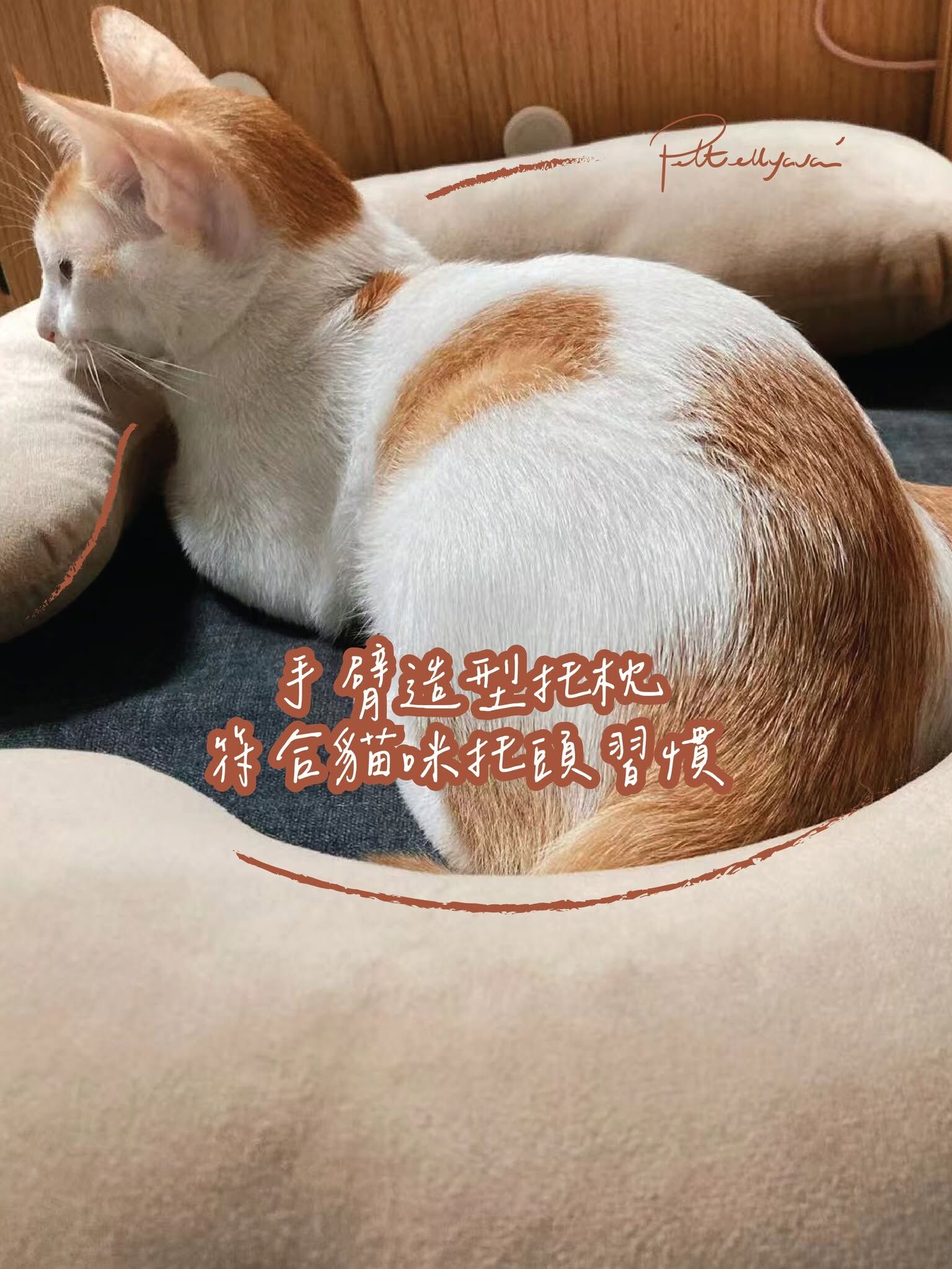 Pettellyava Surro 寵物床