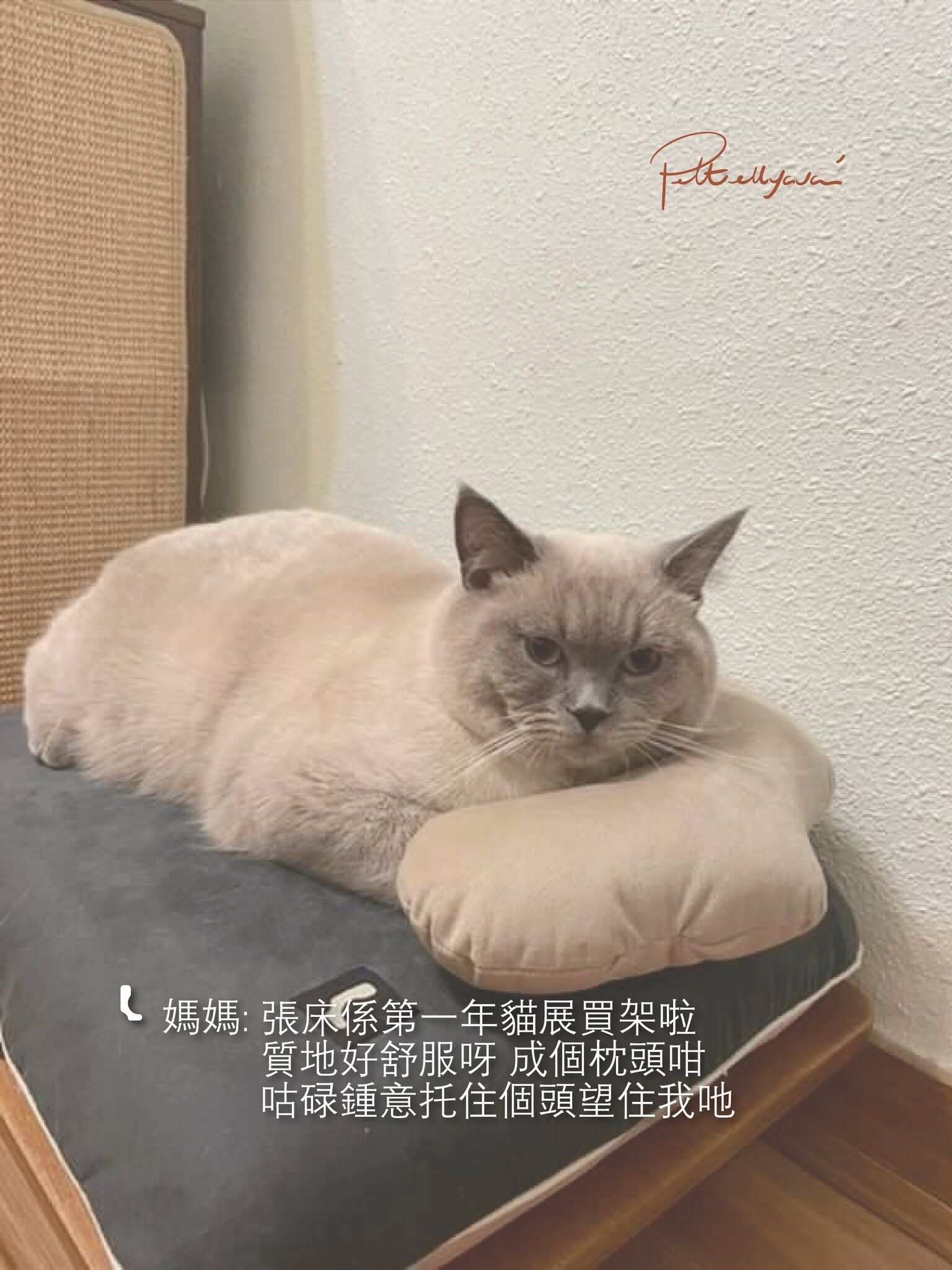 Pettellyava Surro 寵物床