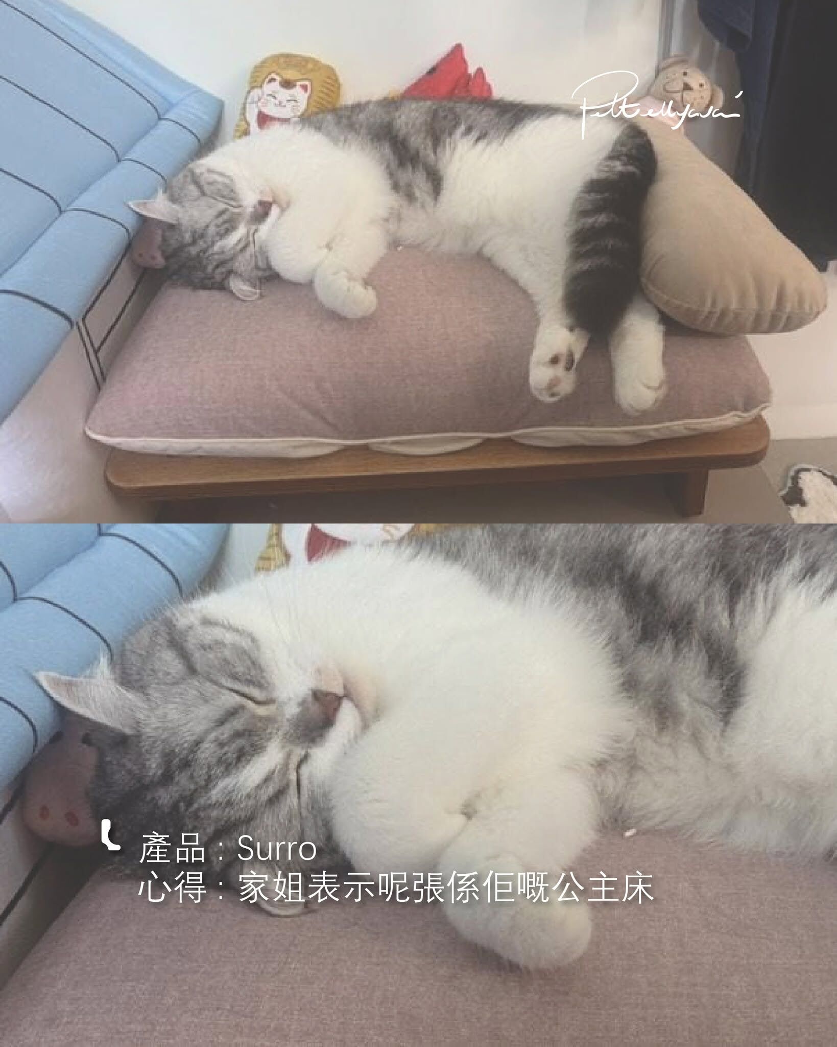 Pettellyava Surro 寵物床