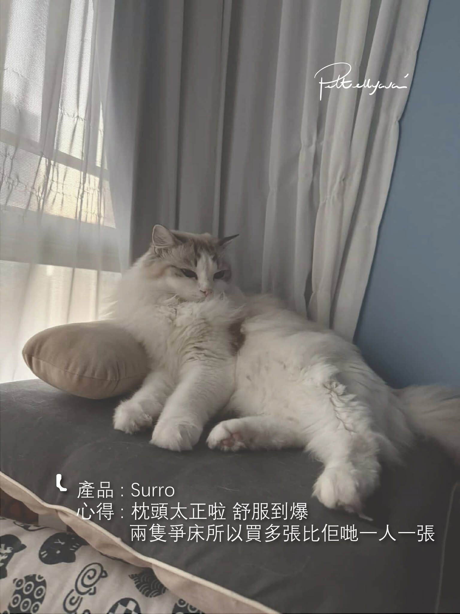 Pettellyava Surro 寵物床