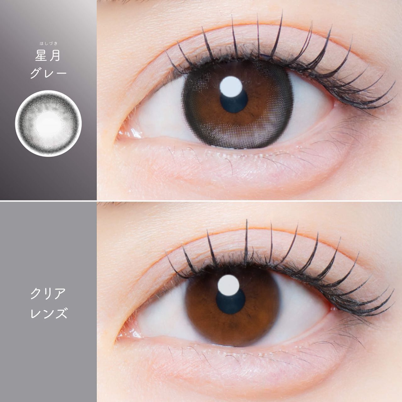 Kaica 1 day (Hoshizuki Gray)(10片)