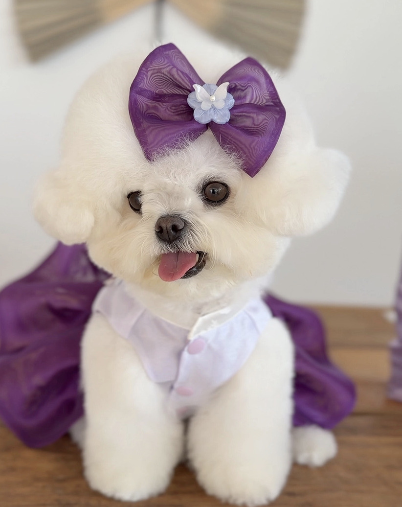 Viola Hair Pin