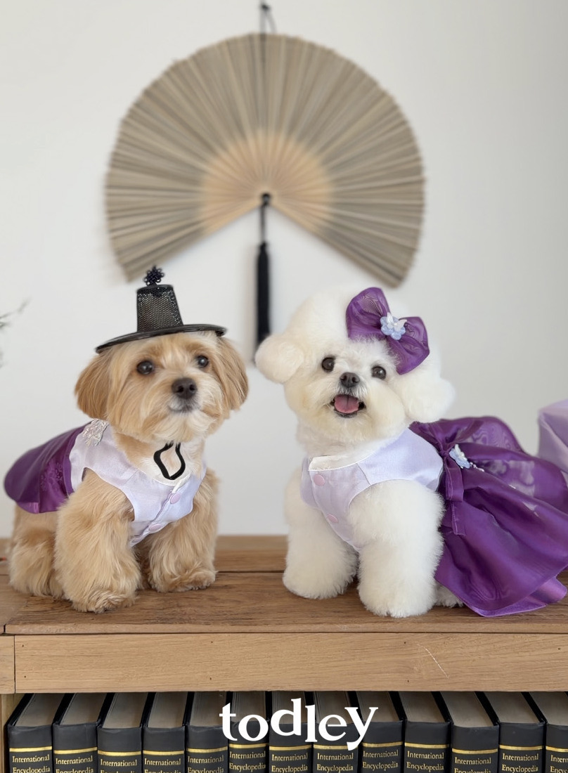 Viola hanbok dress