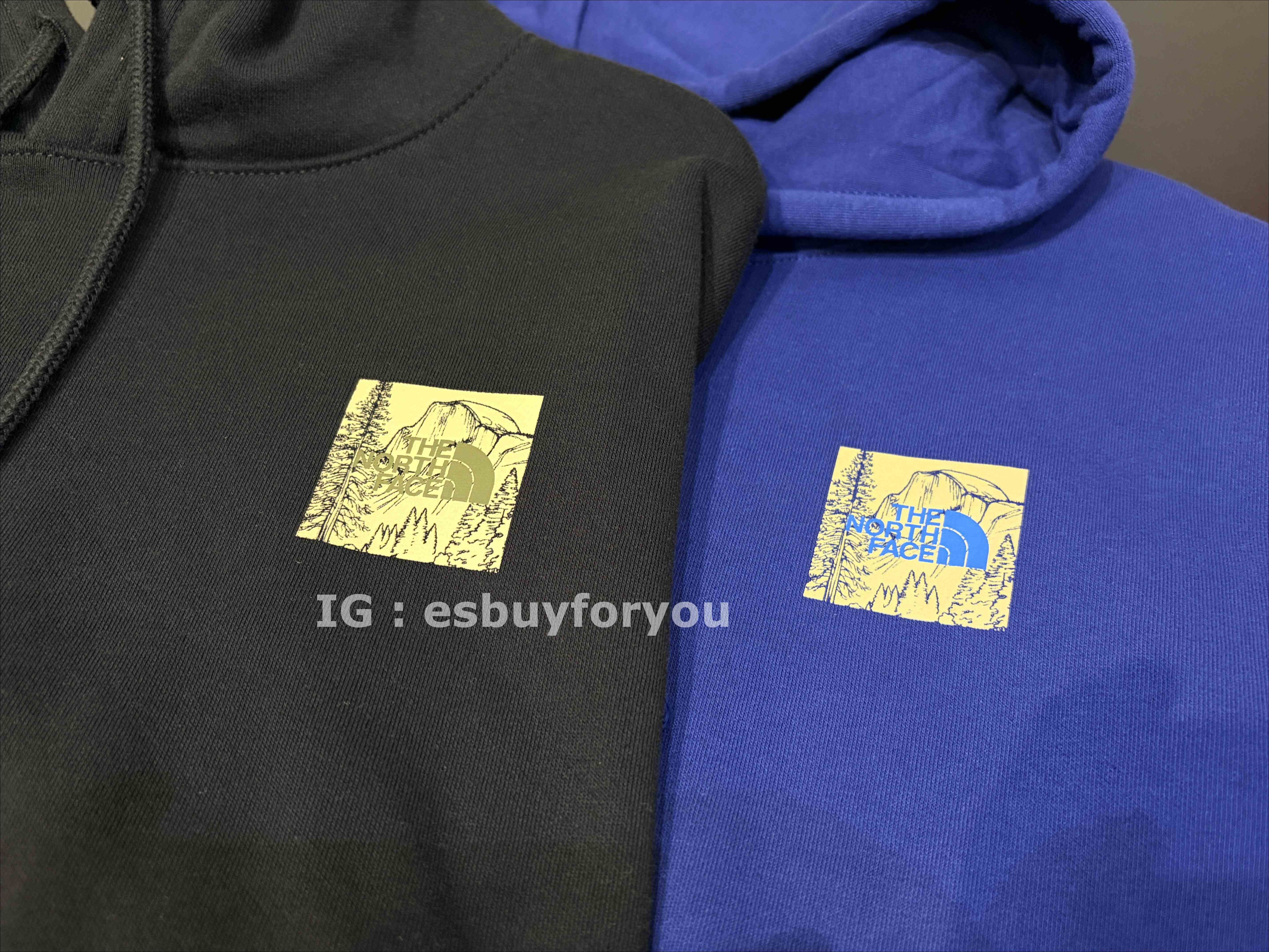 THE NORTH FACE 男大人 造型BOX 森林系 正反圖 刷毛 帽TEE (2色)