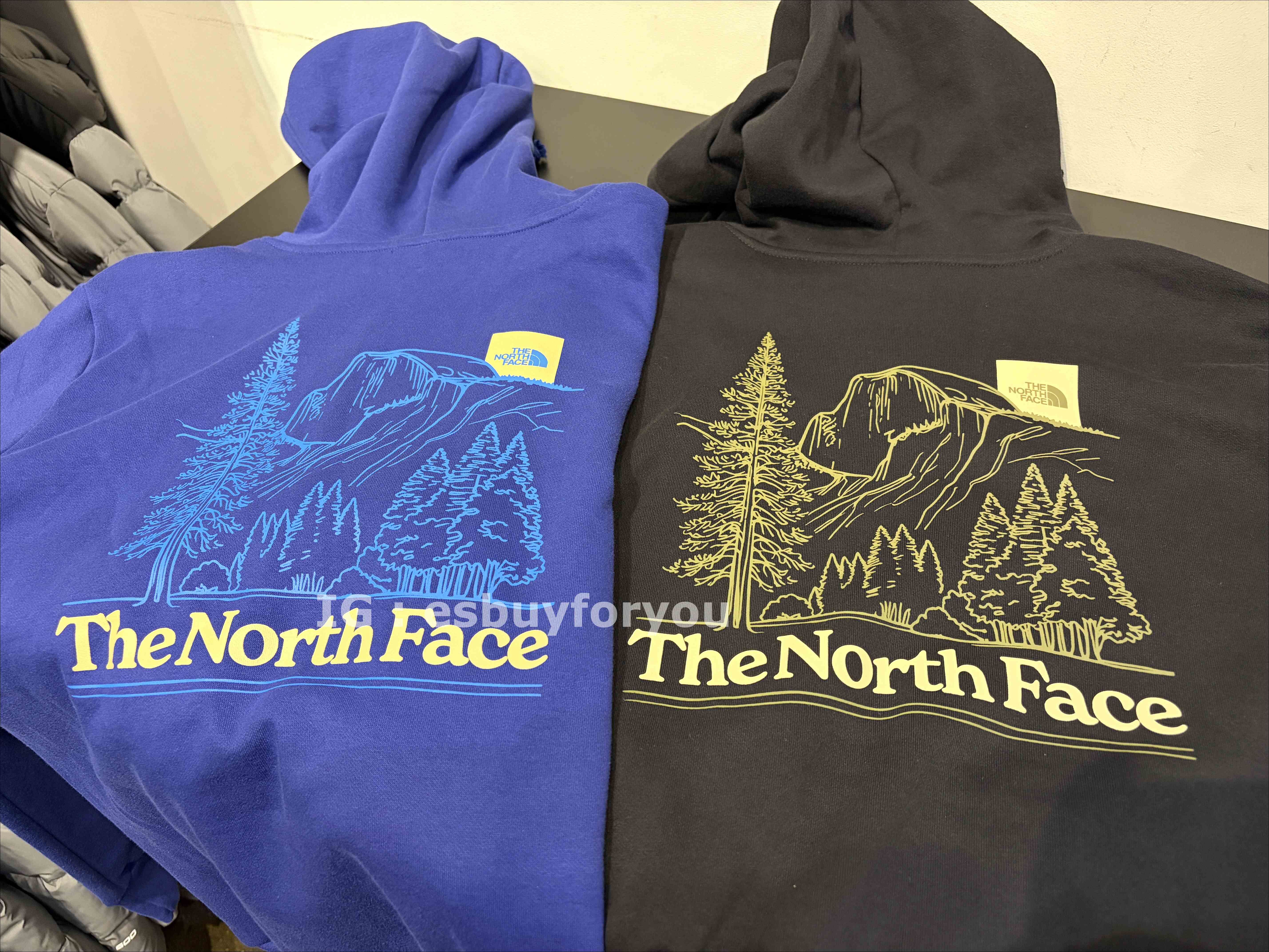 THE NORTH FACE 男大人 造型BOX 森林系 正反圖 刷毛 帽TEE (2色)