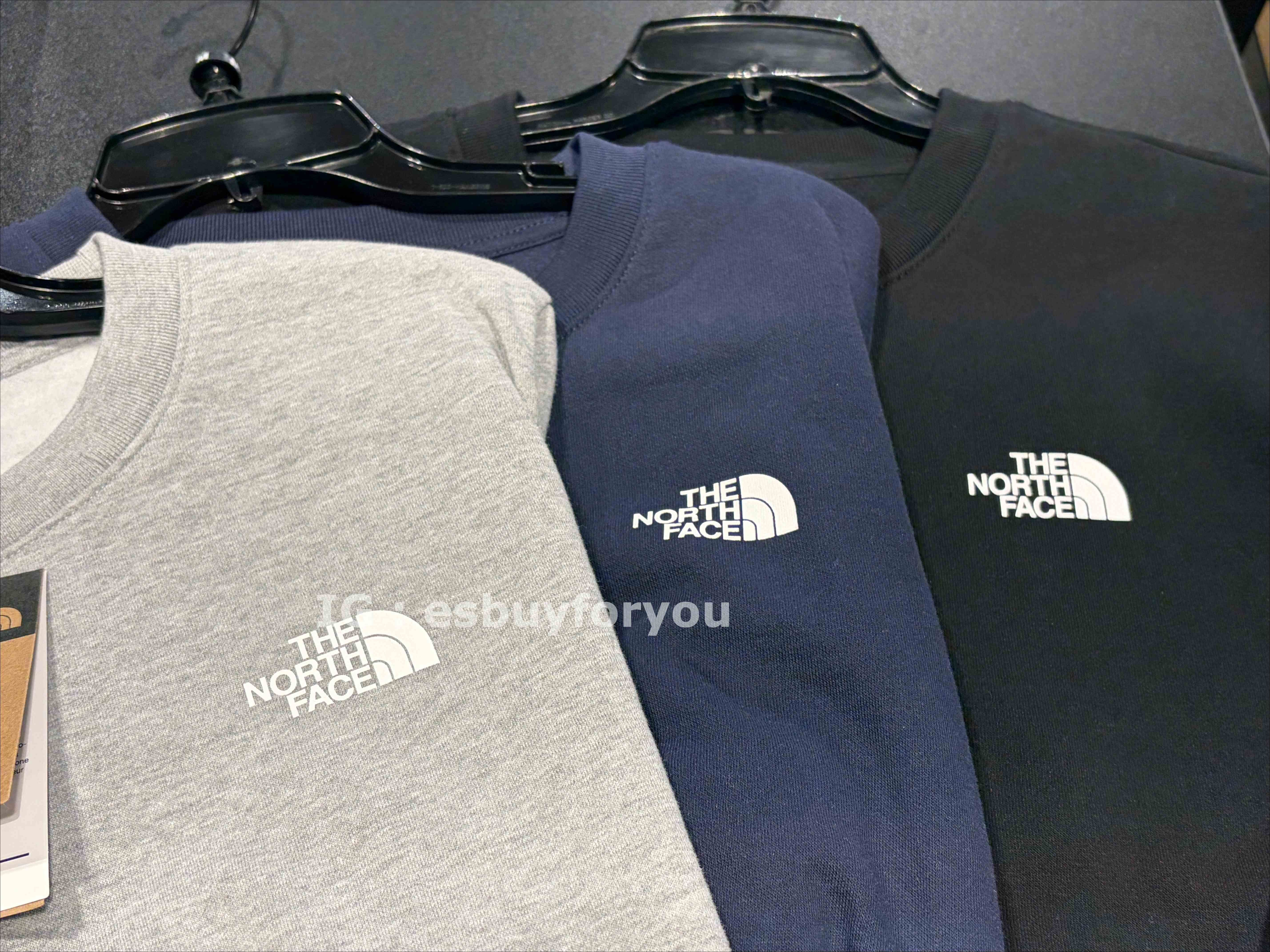 THE NORTH FACE 男大人 經典小標 刷毛 大學TEE (3色)
