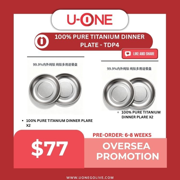 100% PURE TITANIUM DINNER PLATE - TDP4