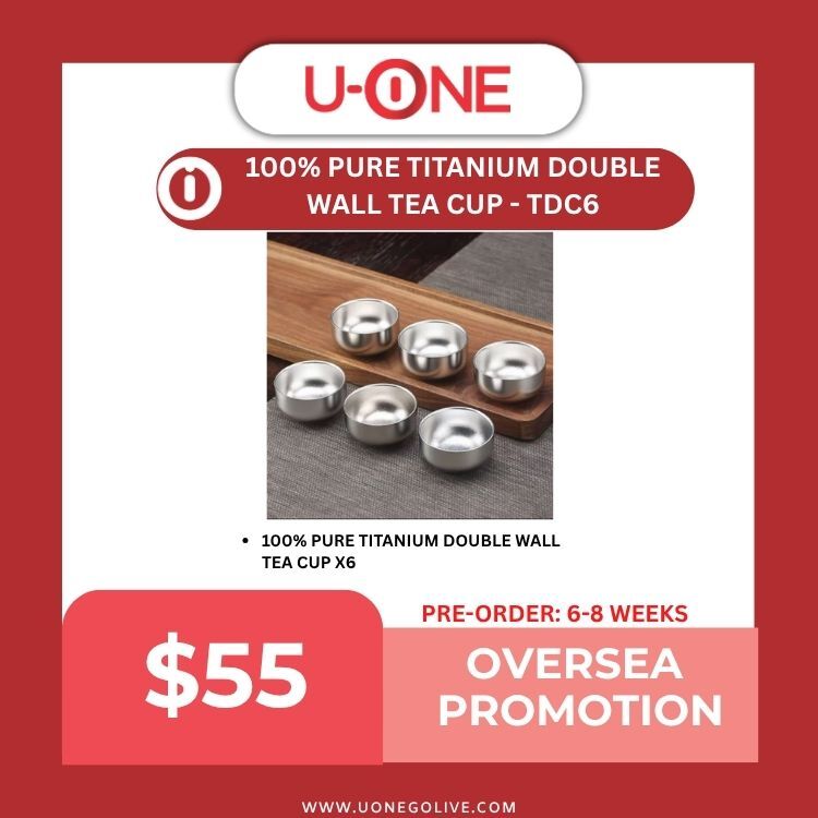 100% PURE TITANIUM DOUBLE WALL TEA CUP - TDC6