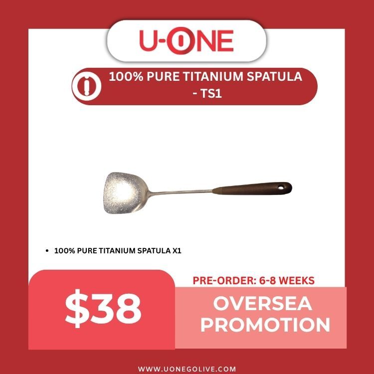 100% PURE TITANIUM SPATULA  - TS1