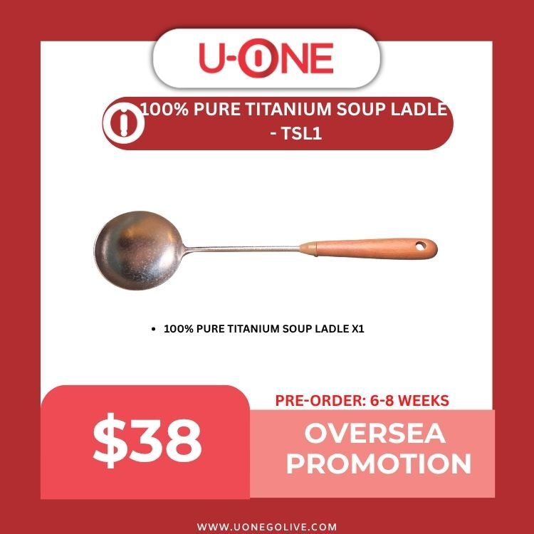 100% PURE TITANIUM SOUP LADLE  - TSL1
