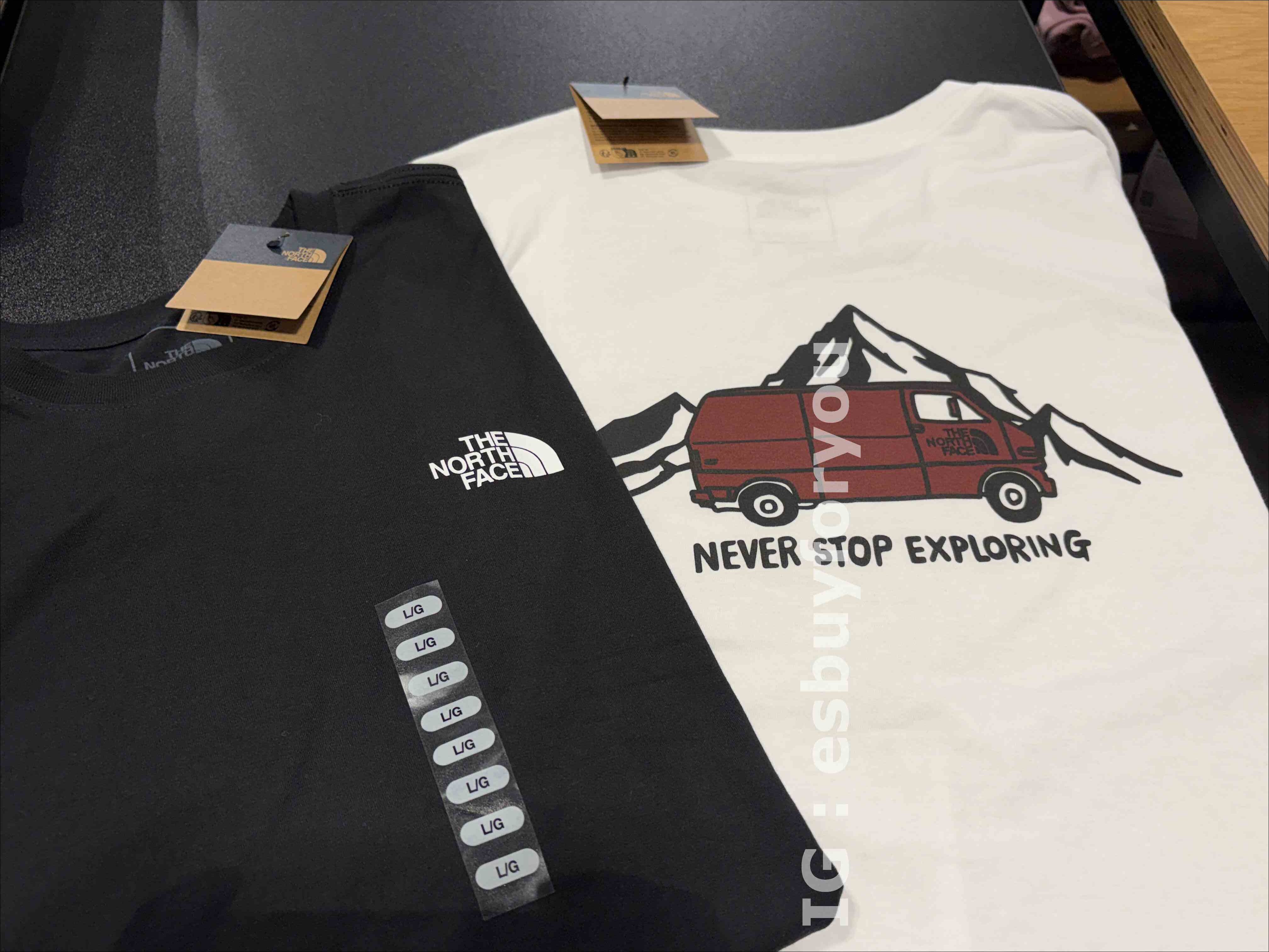 The North Face 男款 經典露營車 正反圖案 長TEE (2色)