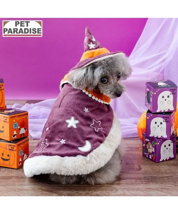 【Pet Paradise】Halloween Top
