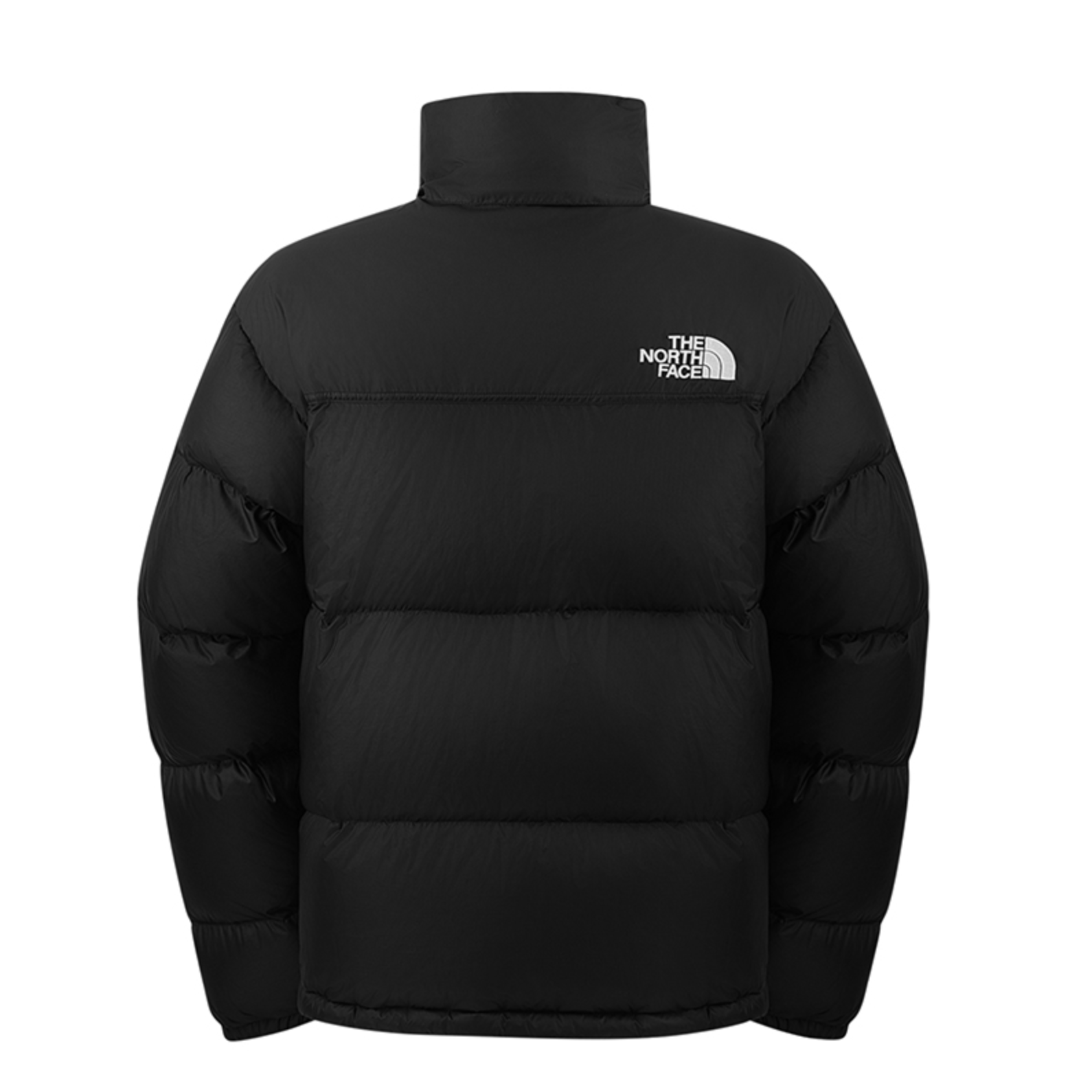 -(E4)-THE NORTH FACE TNF M 1996 RETRO NUPTSE JACKET 700 羽絨 外套 -NF0A8KXD 黑色(GOE)