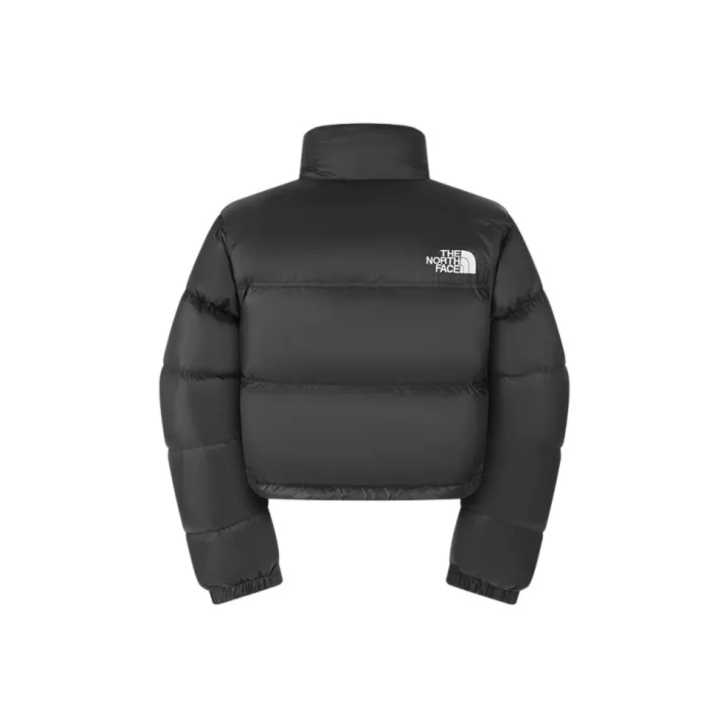 -(E3)-THE NORTH FACE TNF W NUPTSE SHORT JACKET 北臉 女版 短版 羽絨外套  -NF0A8KY7 黑色(GOG)