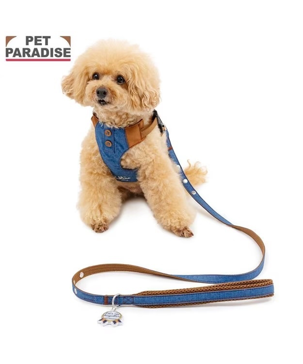 【Pet Paradise】Slim Harness & Lead Set - Denim